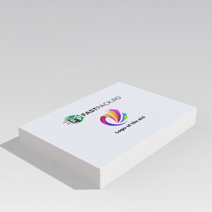 Cutie  320x220x40 mm  cu capac detasabil