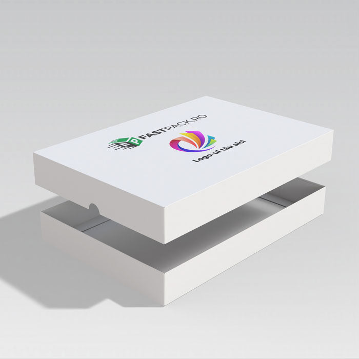 Cutie  320x220x40 mm  cu capac detasabil